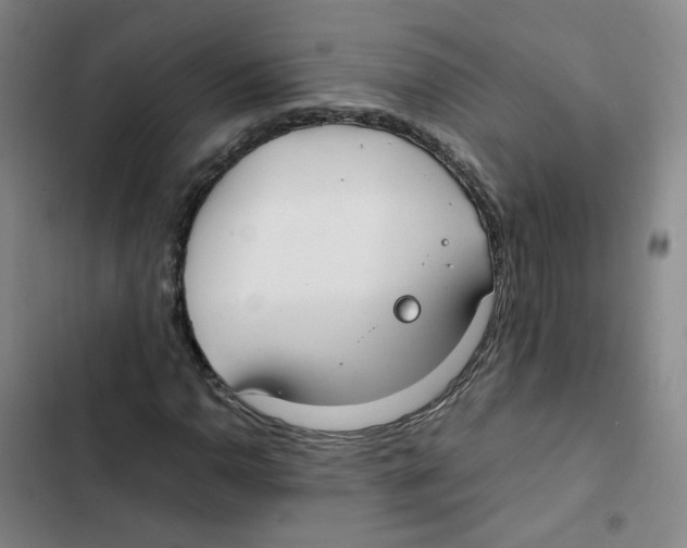 X0000102841110200809151057