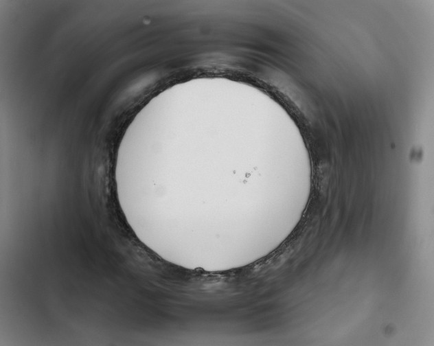 X0000102841111200809151057