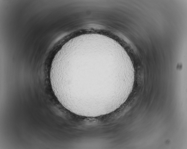 X0000102841112200809151057