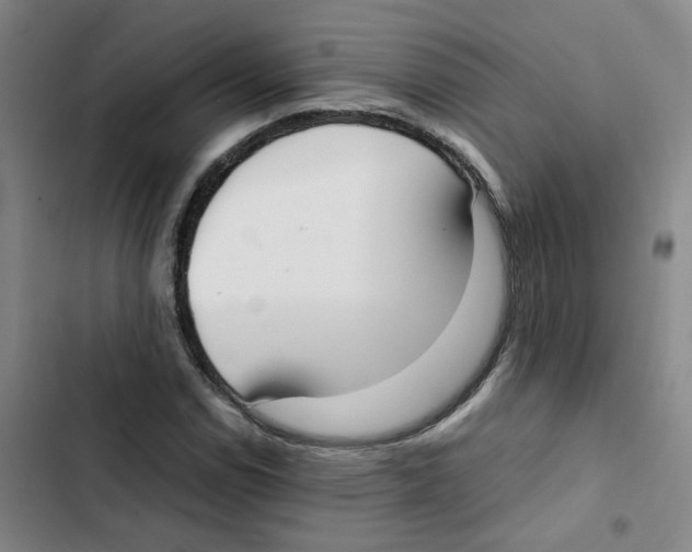 X0000102841114200809151057