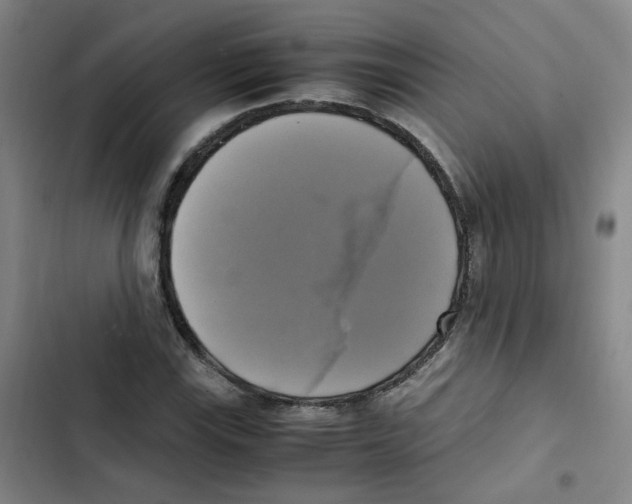 X0000102841115200809151057