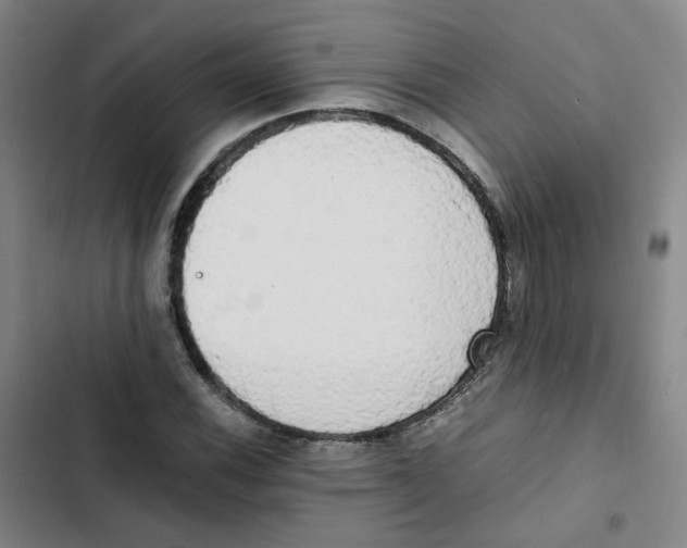 X0000102841116200809151057