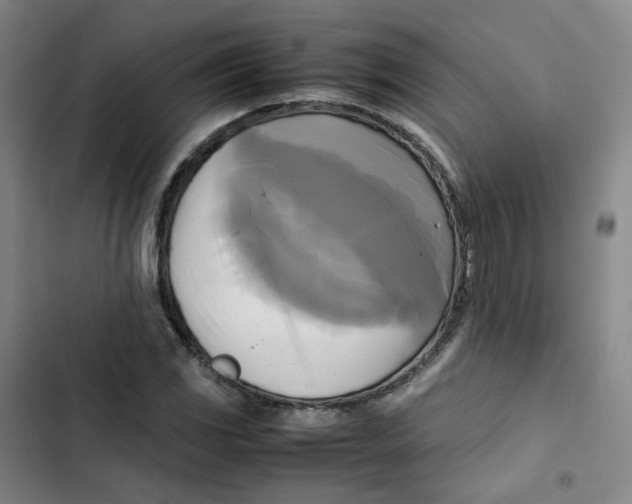 X0000102841117200809151057