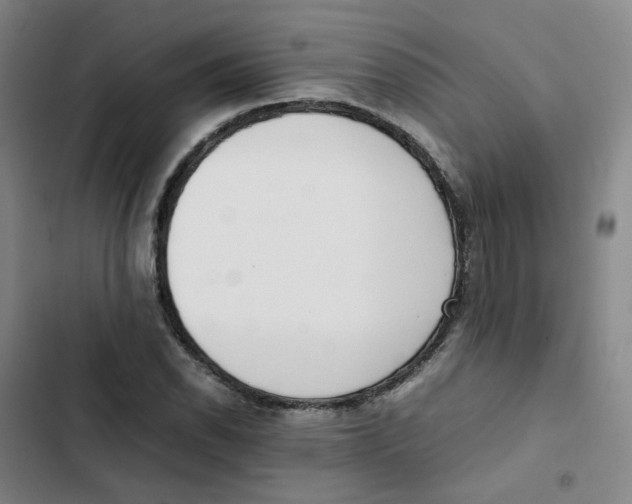 X0000102841118200809151057