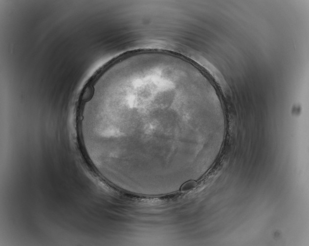 X0000102841120200809151057