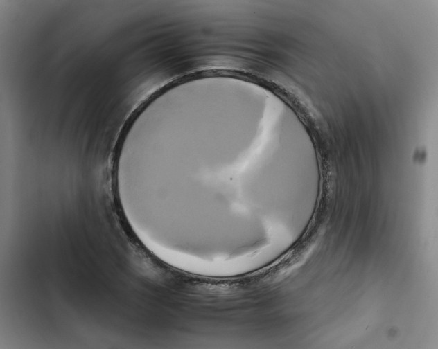 X0000102841121200809151057