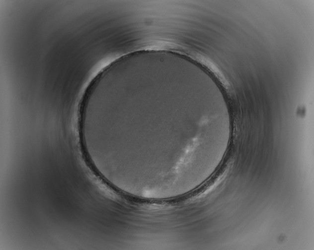 X0000102841122200809151057