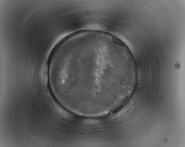 X0000102841123200809151057