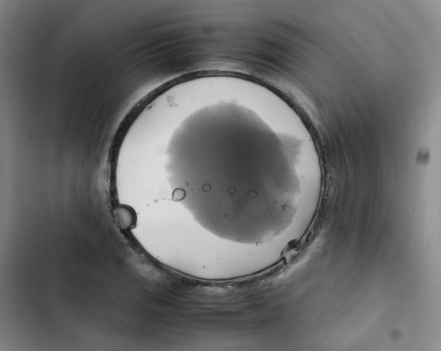 X0000102841125200809151057