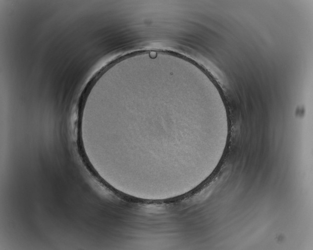 X0000102841126200809151057