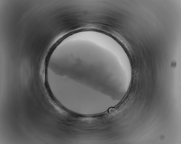 X0000102841127200809151057