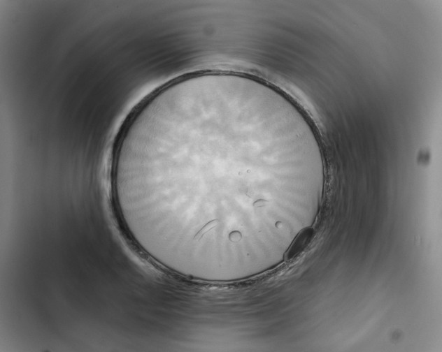 X0000102841128200809151057