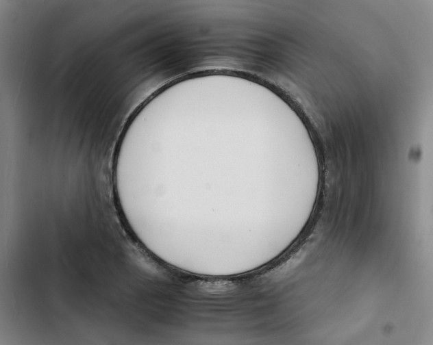 X0000102841129200809151057