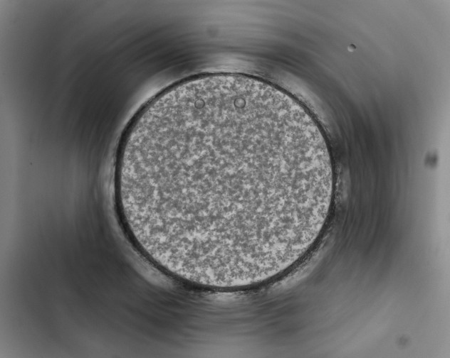 X0000102841130200809151057