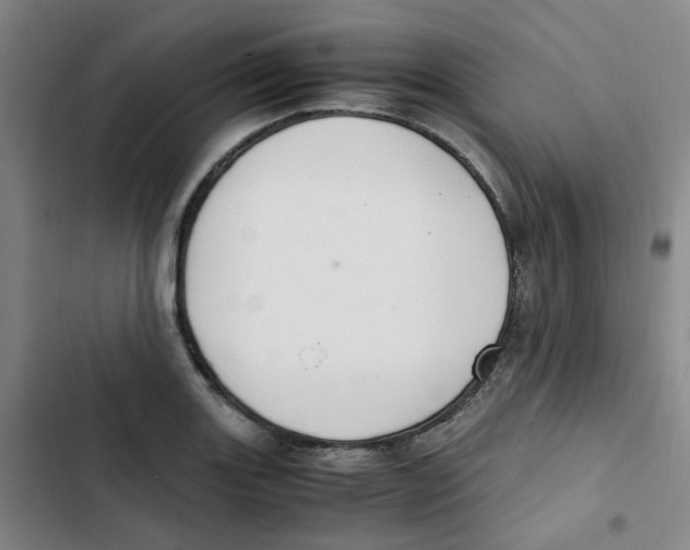 X0000102841131200809151057