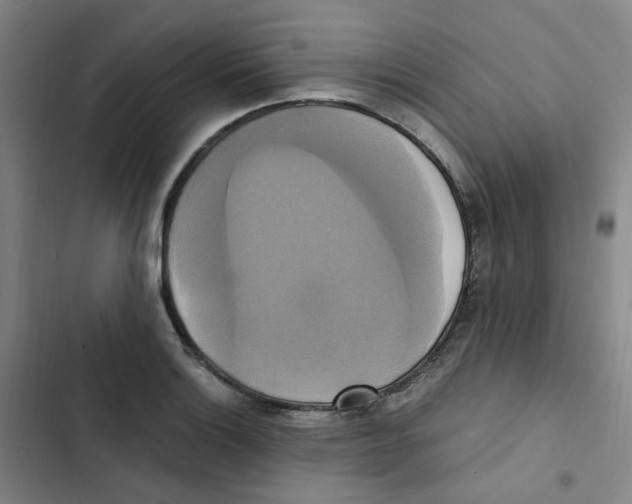 X0000102841132200809151057