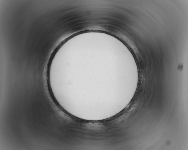 X0000102841133200809151057