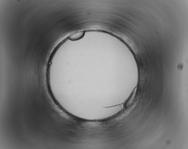 X0000102841134200809151057