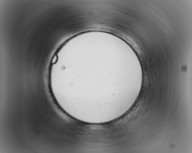 X0000102841136200809151058