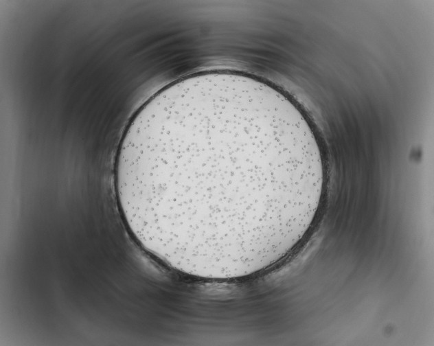 X0000102841137200809151058