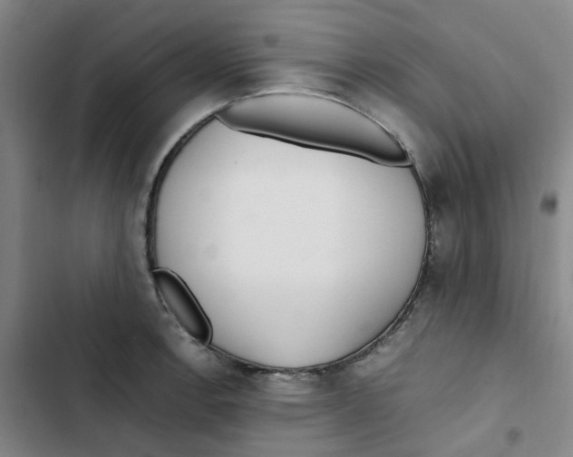 X0000102841138200809151058