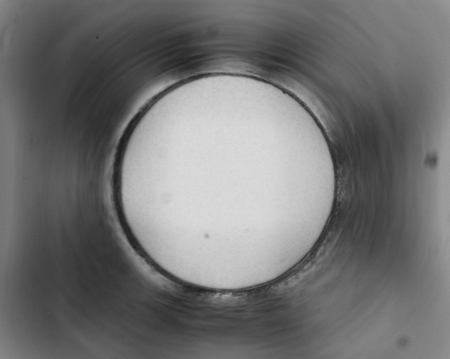 X0000102841139200809151058