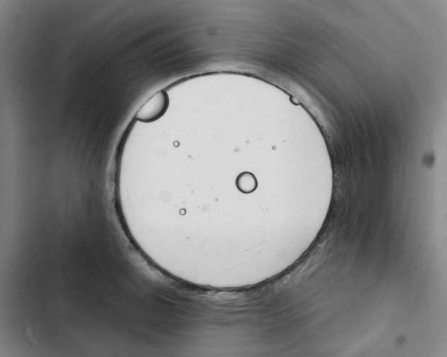 X0000102841140200809151058