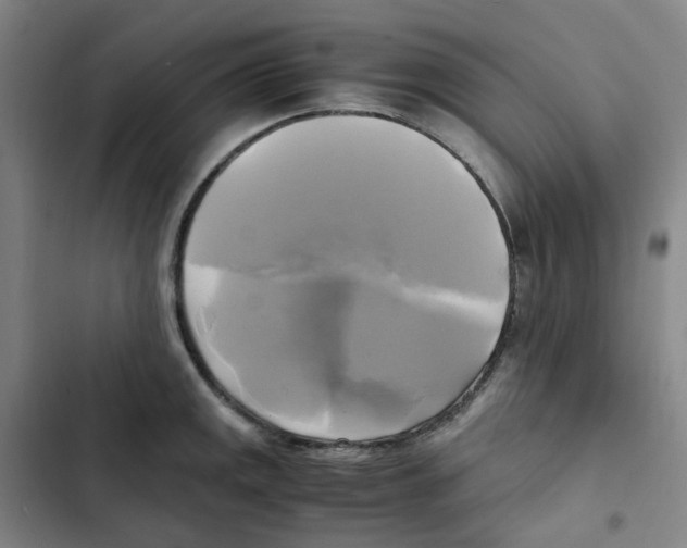 X0000102841141200809151058