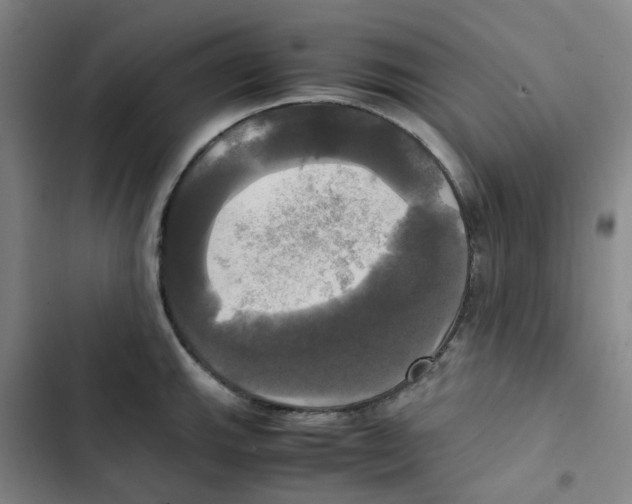 X0000102841143200809151058