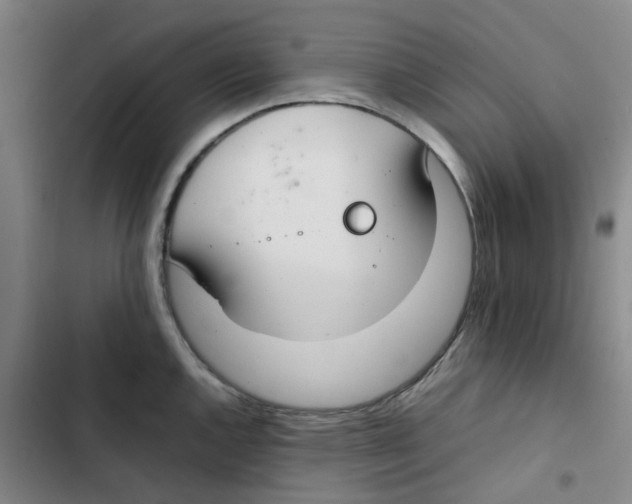 X0000102841144200809151058