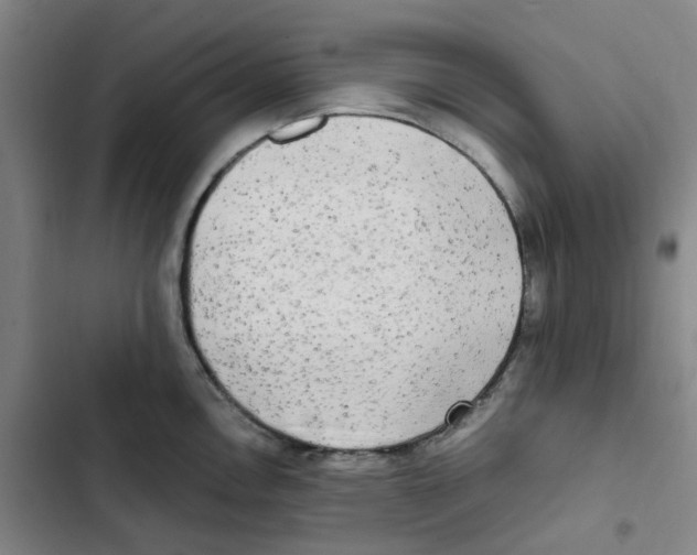 X0000102841146200809151058