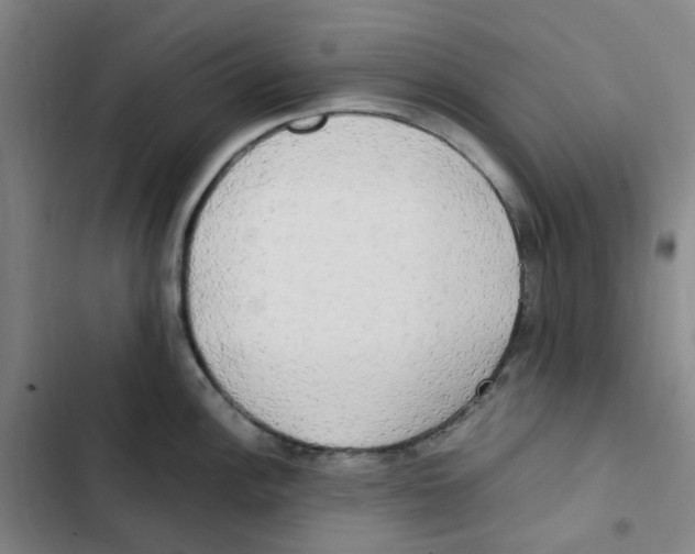 X0000102841148200809151058