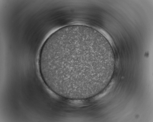 X0000102841149200809151058