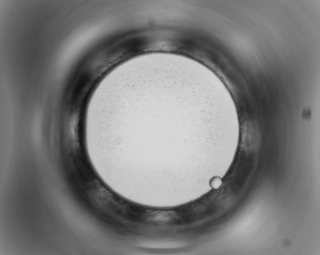 X0000102841150200809151058