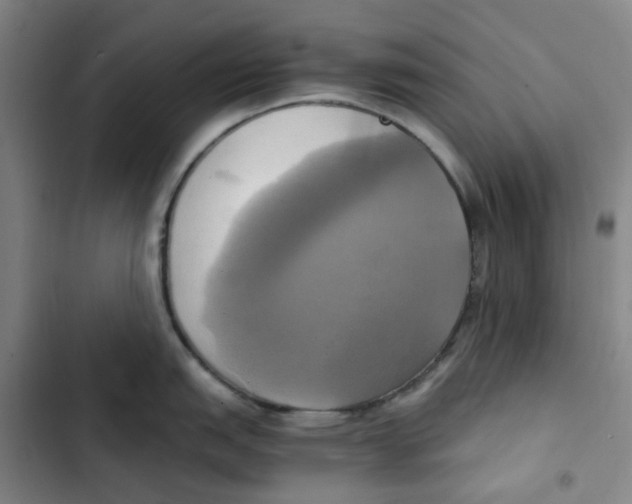 X0000102841151200809151058