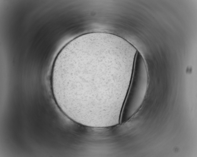 X0000102841152200809151058