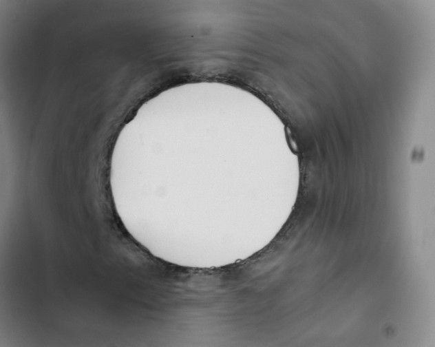 X0000102841153200809151057