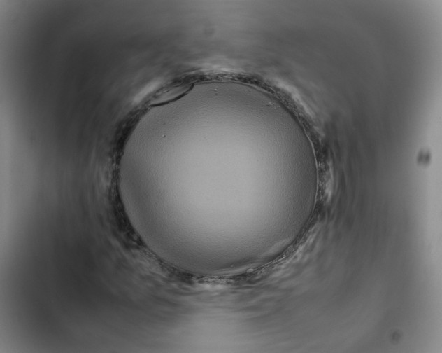 X0000102841157200809151057