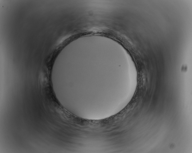 X0000102841158200809151057