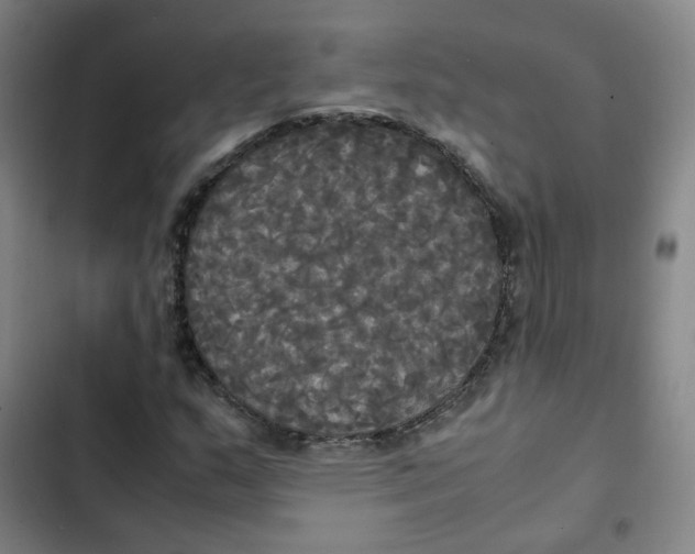 X0000102841159200809151057