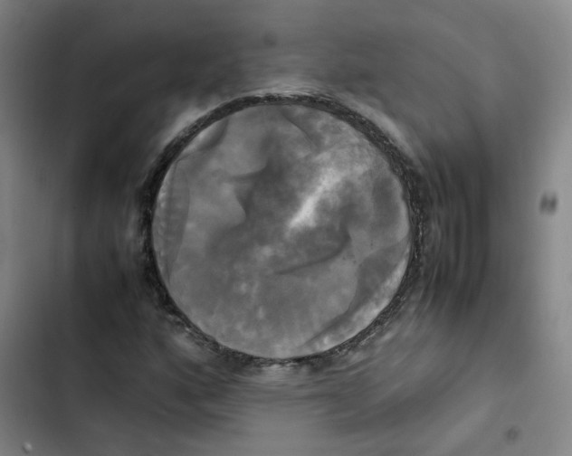 X0000102841160200809151057