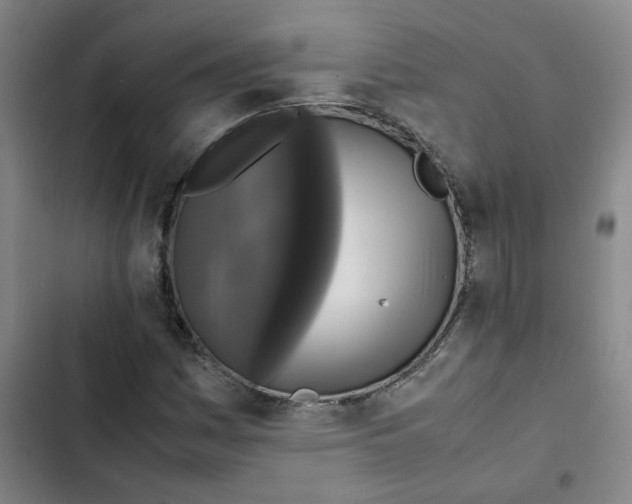 X0000102841161200809151057