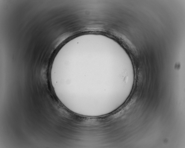 X0000102841162200809151057