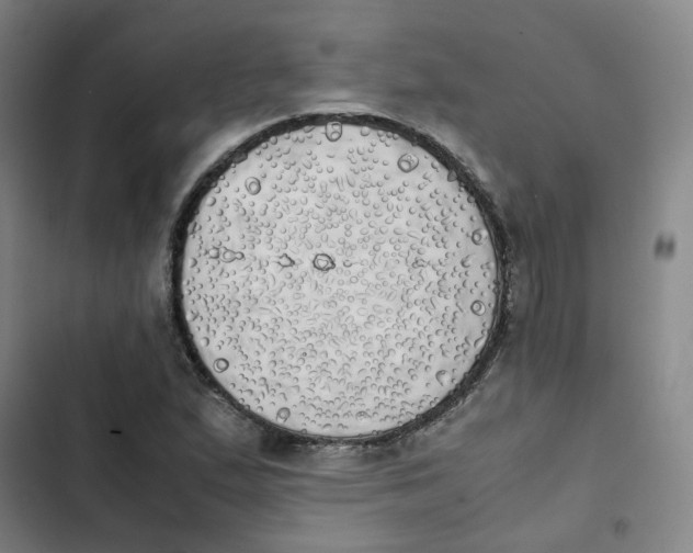 X0000102841167200809151057