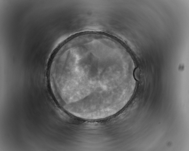 X0000102841168200809151057