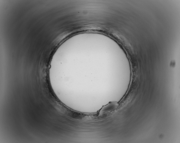 X0000102841169200809151057