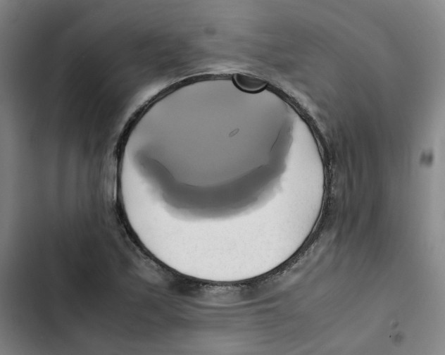 X0000102841171200809151057