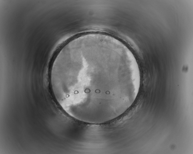 X0000102841172200809151057