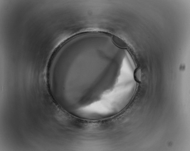 X0000102841173200809151057