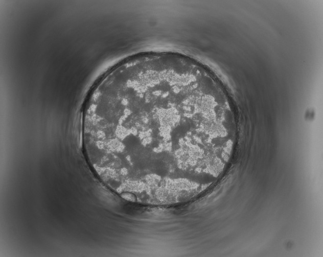 X0000102841175200809151057